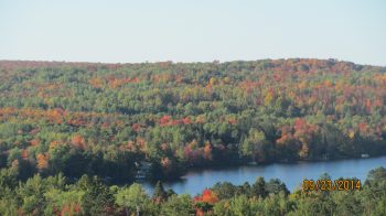 Fall view